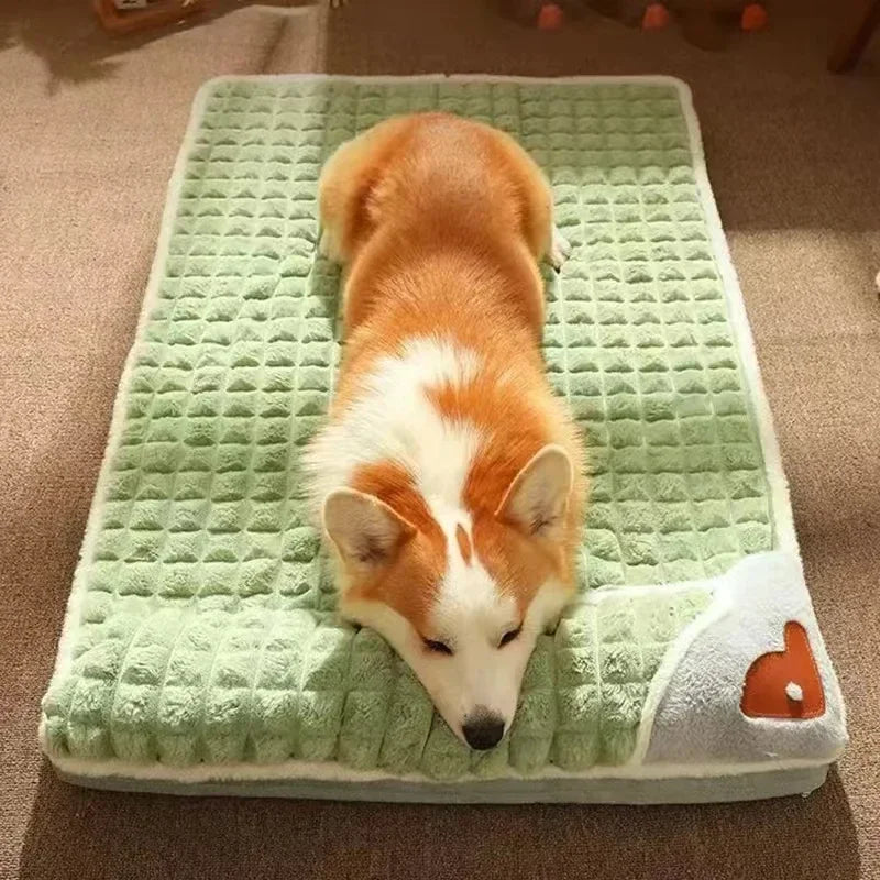 Willow Orthopedic Memory Foam Dog Bed