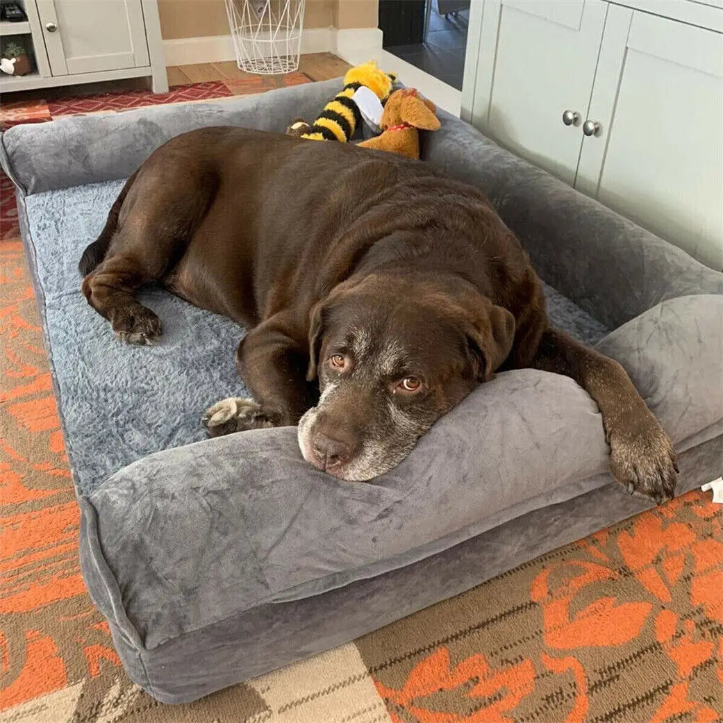 Coogee Extra-Large Orthopedic Couch Bed