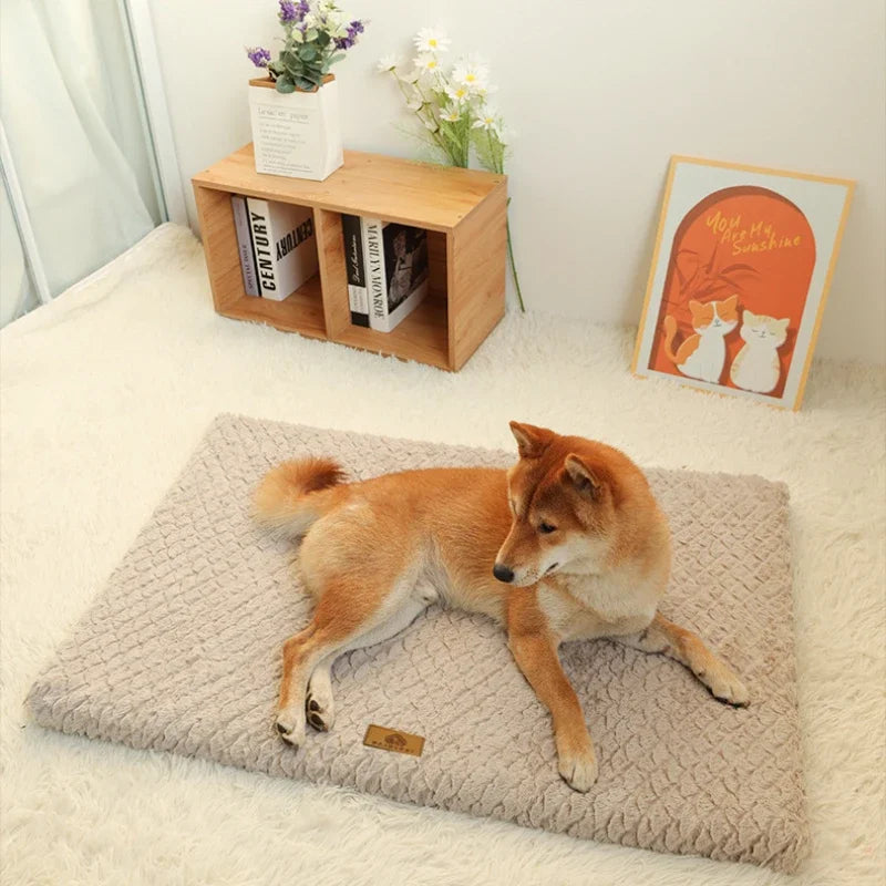 Willow Plush Crate Bed