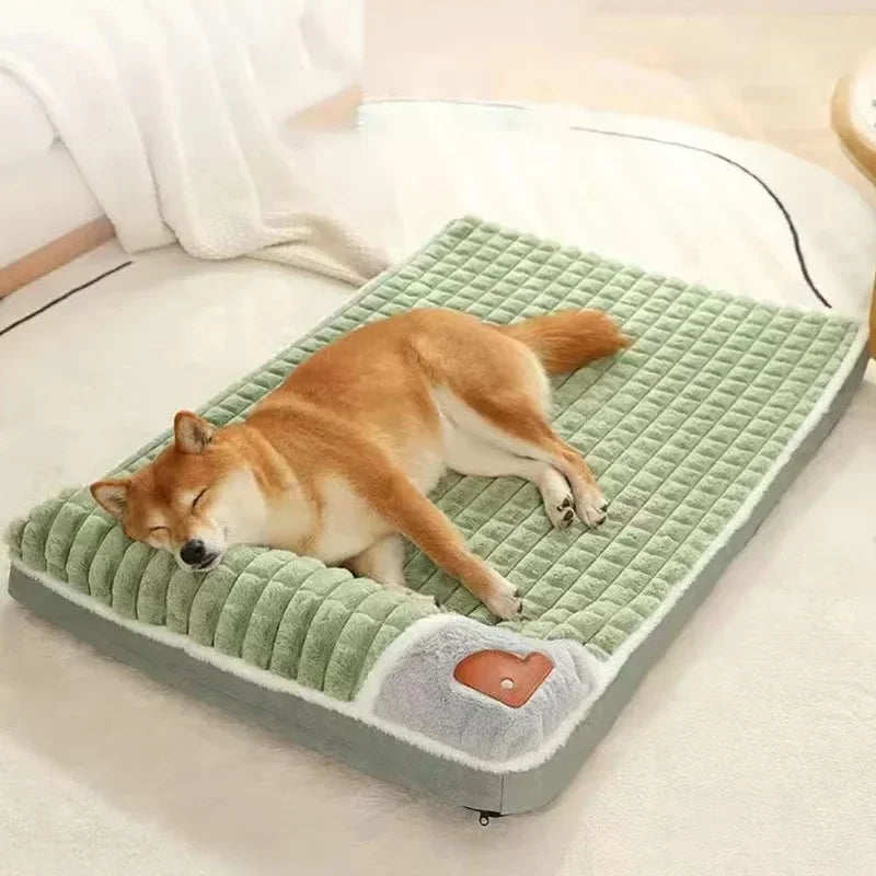 Willow Orthopedic Memory Foam Dog Bed
