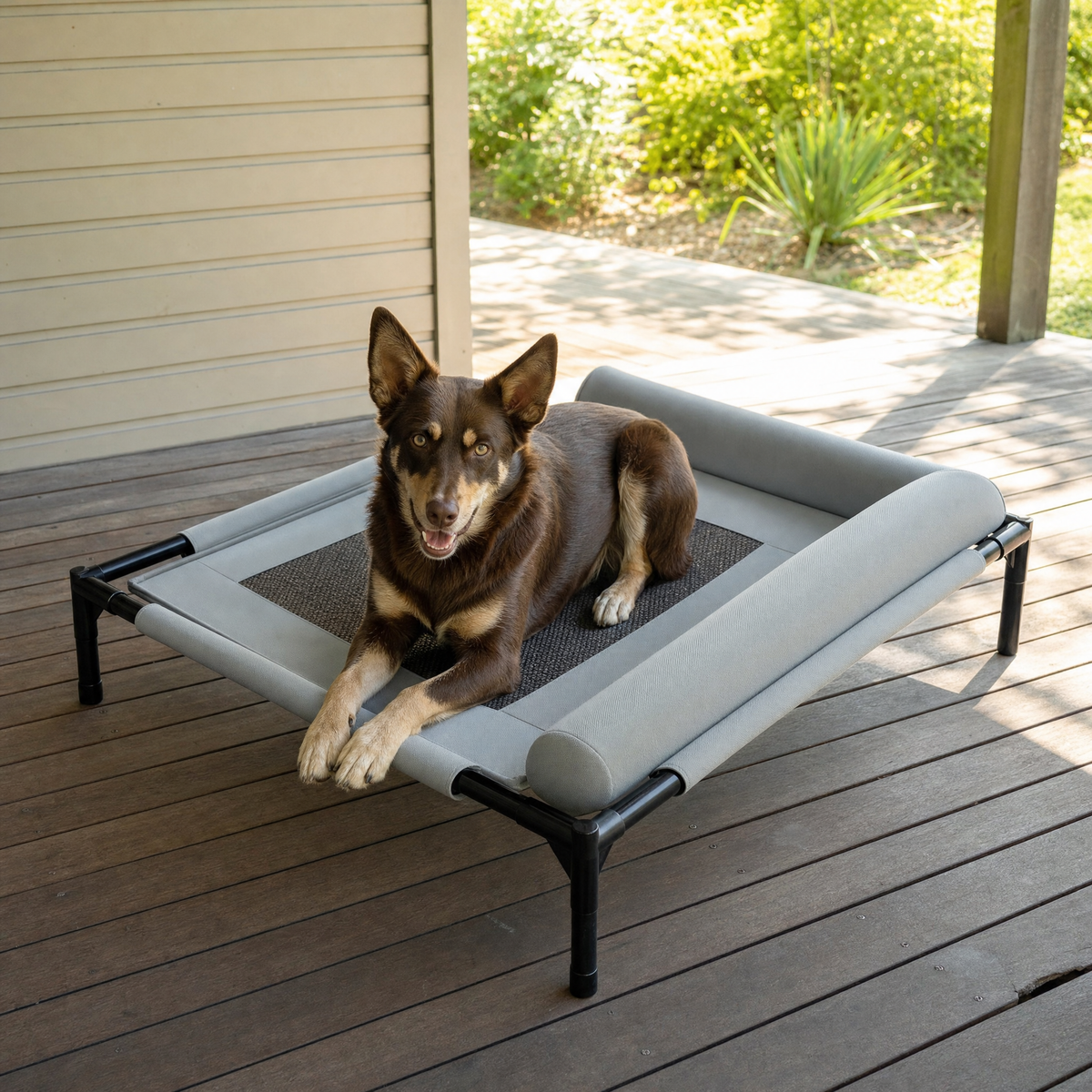 Breeze Elevated Mesh Cooling Dog Bed with Pillow — lifestyle
