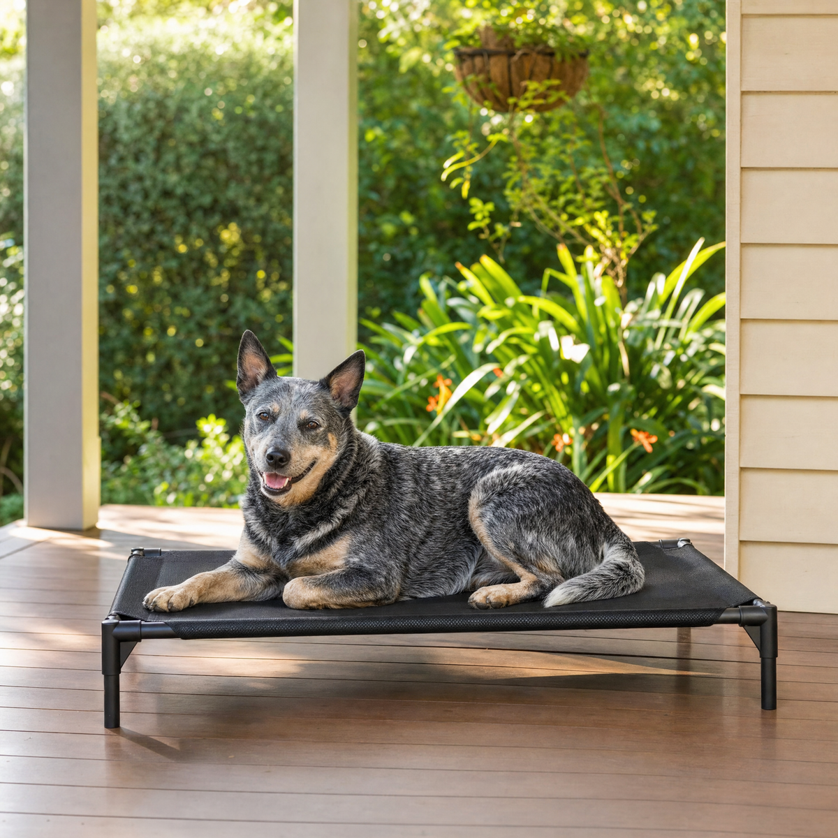 Guardian Raised Mesh Cooling Dog Bed — lifestyle
