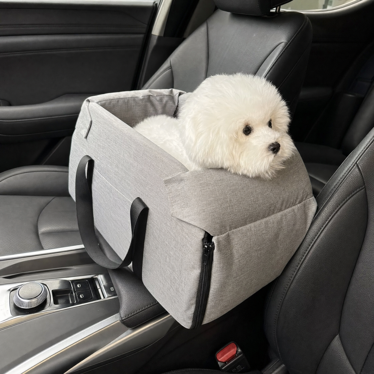 Copilot Console Booster Seat for Small Dogs — lifestyle