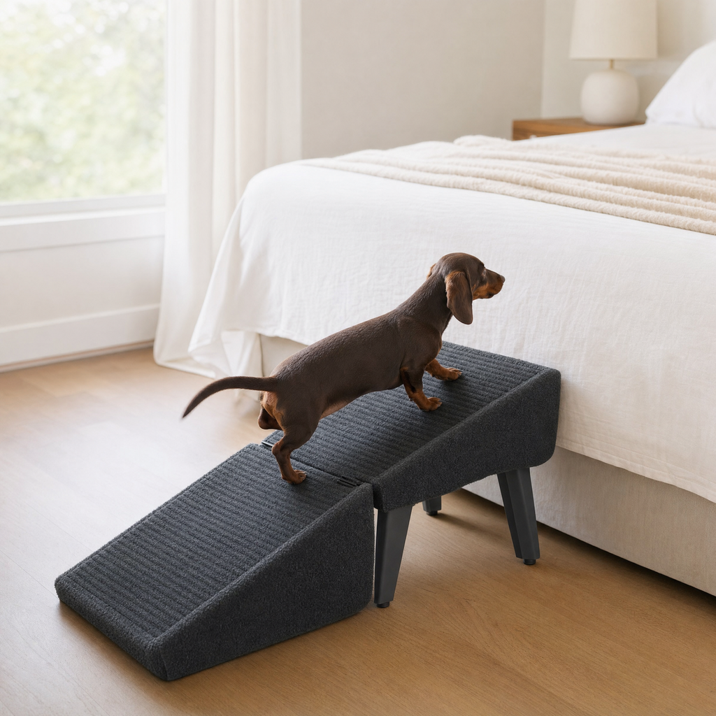 Bridge Folding Dog Ramp for Bed and Car — lifestyle
